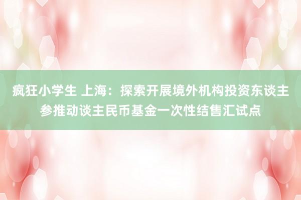 疯狂小学生 上海:探索开展境外机构投资东谈主参推动谈主民币基金一次性结售汇试点