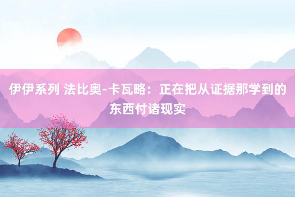 伊伊系列 法比奥-卡瓦略:正在把从证据那学到的东西付诸现实