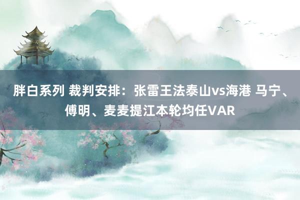 胖白系列 裁判安排:张雷王法泰山vs海港 马宁、傅明、麦麦提江本轮均任VAR