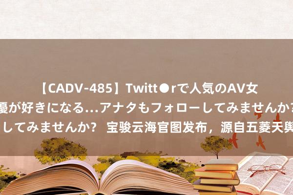 【CADV-485】Twitt●rで人気のAV女優 SNSでますますAV女優が好きになる…アナタもフォローしてみませんか? 宝骏云海官图发布,源自五菱天舆架构D平台