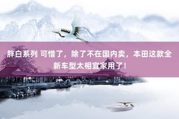 胖白系列 可惜了,除了不在国内卖,本田这款全新车型太相宜家用了!
