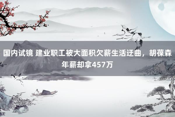 国内试镜 建业职工被大面积欠薪生活迂曲,胡葆森年薪却拿457万
