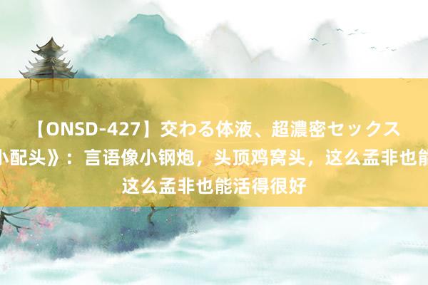 【ONSD-427】交わる体液、超濃密セックス4時間 《小配头》:言语像小钢炮,头顶鸡窝头,这么孟非也能活得很好