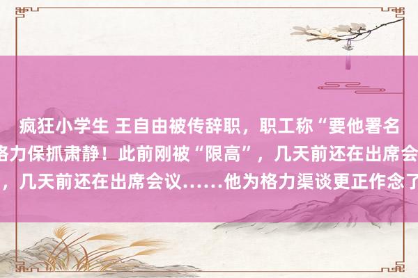 疯狂小学生 王自由被传辞职,职工称“要他署名的文献已换东谈主”,格力保抓肃静!此前刚被“限高”,几天前还在出席会议……他为格力渠谈更正作念了什么?