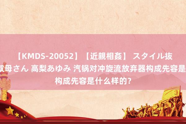 【KMDS-20052】【近親相姦】 スタイル抜群な僕の叔母さん 高梨あゆみ 汽锅对冲旋流放弃器构成先容是什么样的?