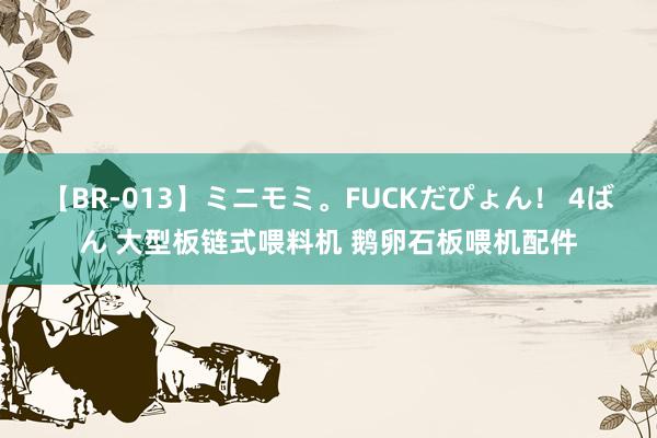 【BR-013】ミニモミ。FUCKだぴょん! 4ばん 大型板链式喂料机 鹅卵石板喂机配件