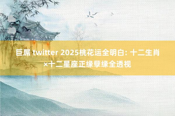 巨屌 twitter 2025桃花运全明白: 十二生肖×十二星座正缘孽缘全透视