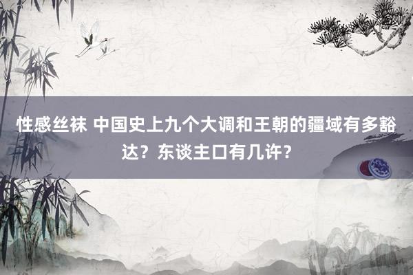 性感丝袜 中国史上九个大调和王朝的疆域有多豁达?东谈主口有几许?