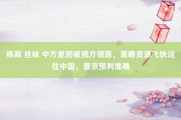 杨幂 丝袜 中方意图被俄方领路,策略资源飞快运往中国,普京预判准确