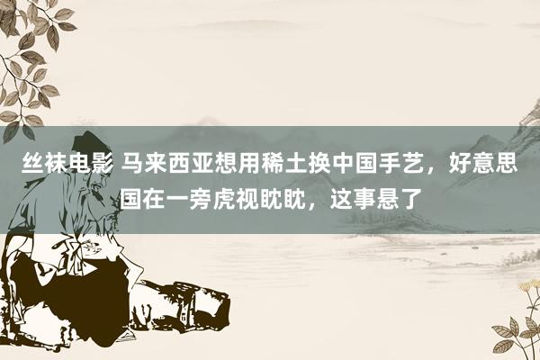 丝袜电影 马来西亚想用稀土换中国手艺,好意思国在一旁虎视眈眈,这事悬了