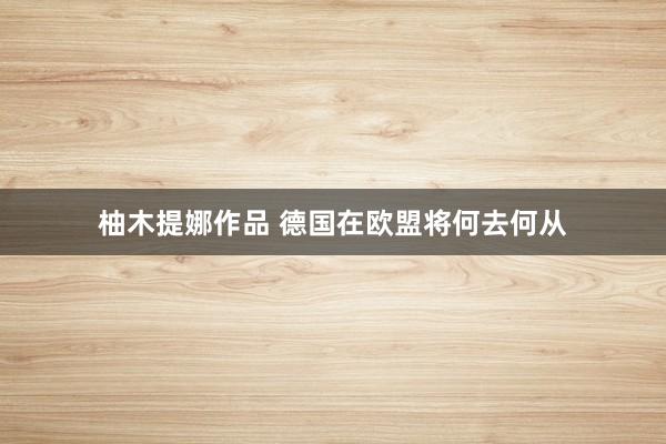 柚木提娜作品 德国在欧盟将何去何从