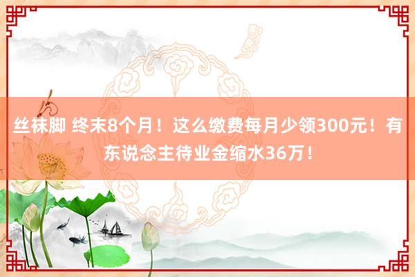 丝袜脚 终末8个月!这么缴费每月少领300元!有东说念主待业金缩水36万!