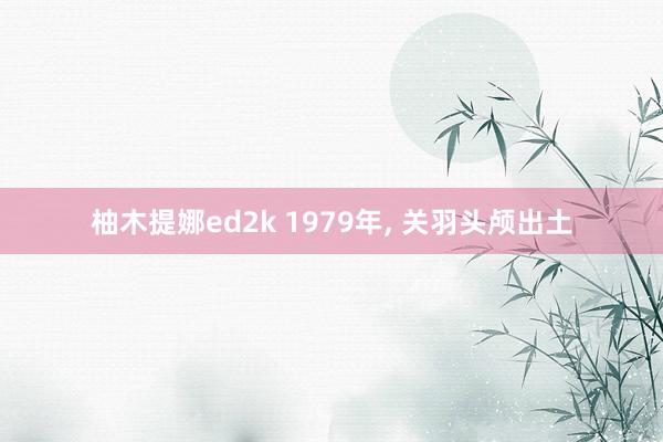 柚木提娜ed2k 1979年, 关羽头颅出土