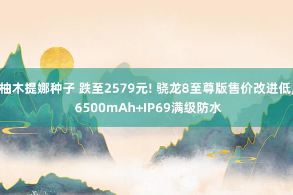 柚木提娜种子 跌至2579元! 骁龙8至尊版售价改进低, 6500mAh+IP69满级防水