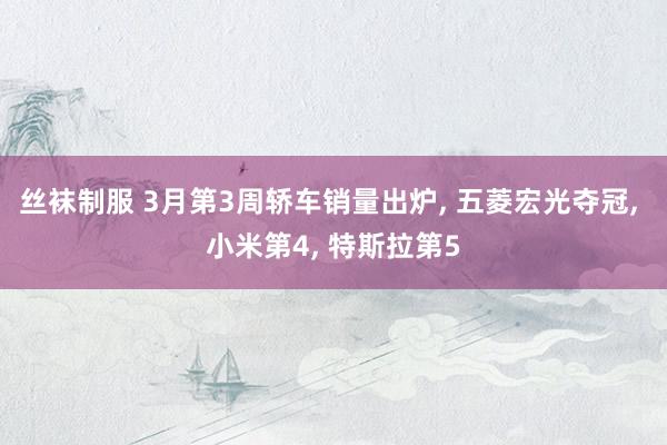 丝袜制服 3月第3周轿车销量出炉, 五菱宏光夺冠, 小米第4, 特斯拉第5