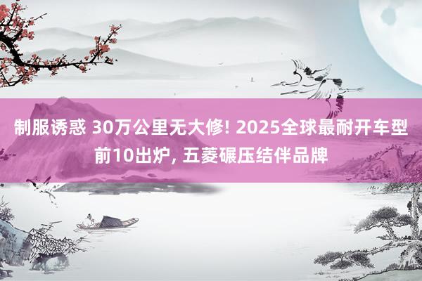 制服诱惑 30万公里无大修! 2025全球最耐开车型前10出炉, 五菱碾压结伴品牌