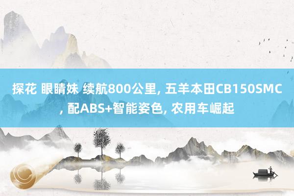 探花 眼睛妹 续航800公里, 五羊本田CB150SMC, 配ABS+智能姿色, 农用车崛起