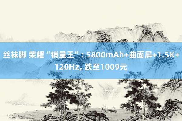 丝袜脚 荣耀“销量王”: 5800mAh+曲面屏+1.5K+120Hz， 跌至1009元