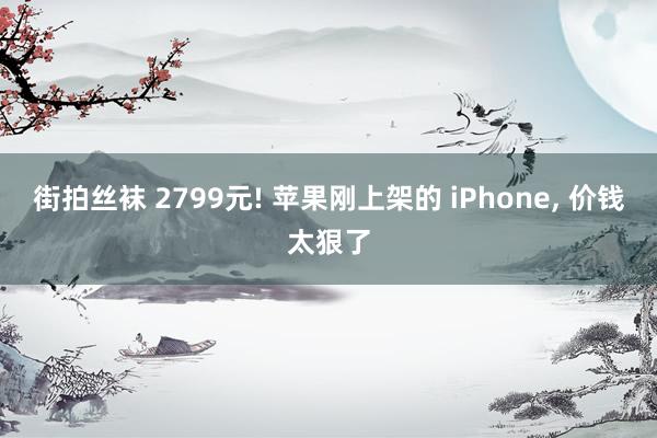 街拍丝袜 2799元! 苹果刚上架的 iPhone， 价钱太狠了