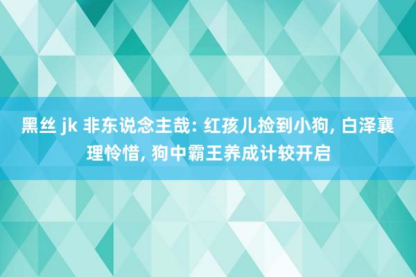 黑丝 jk 非东说念主哉: 红孩儿捡到小狗， 白泽襄理怜惜， 狗中霸王养成计较开启