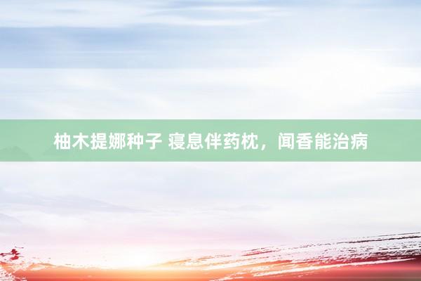 柚木提娜种子 寝息伴药枕,闻香能治病