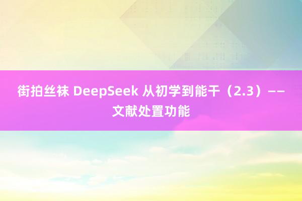 街拍丝袜 DeepSeek 从初学到能干(2.3)——文献处置功能