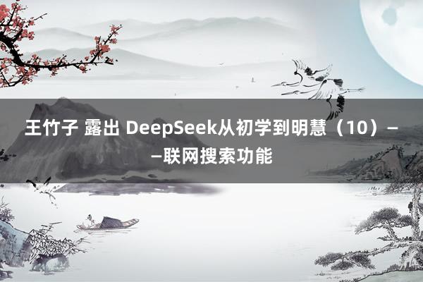 王竹子 露出 DeepSeek从初学到明慧(10)——联网搜索功能