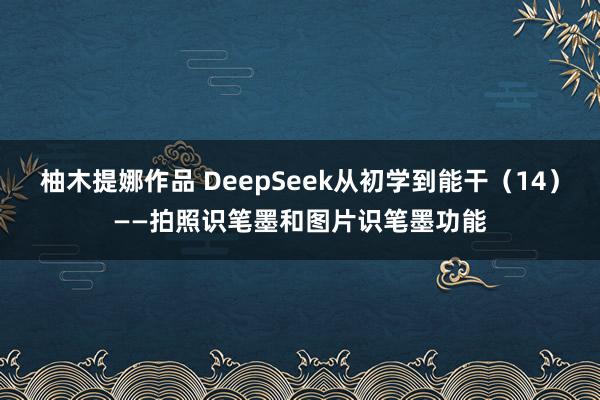 柚木提娜作品 DeepSeek从初学到能干(14)——拍照识笔墨和图片识笔墨功能