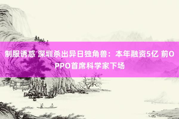 制服诱惑 深圳杀出异日独角兽:本年融资5亿 前OPPO首席科学家下场