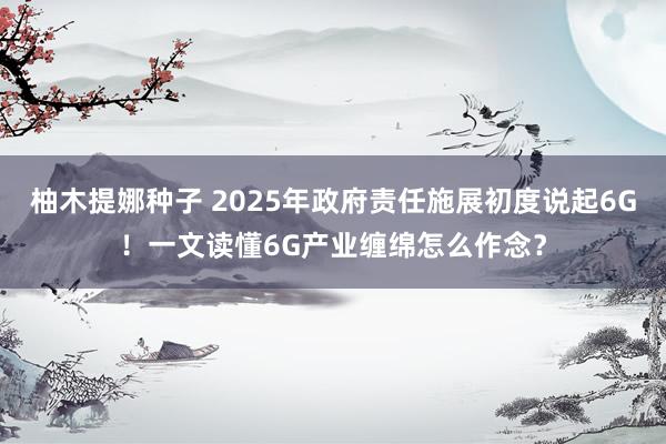 柚木提娜种子 2025年政府责任施展初度说起6G!一文读懂6G产业缠绵怎么作念?