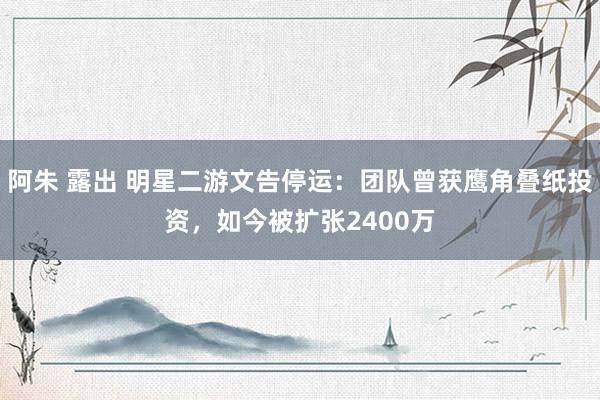 阿朱 露出 明星二游文告停运:团队曾获鹰角叠纸投资,如今被扩张2400万